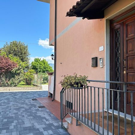 Ferienwohnung Albi'S House,Terrazza ,Wi-Fi, Parcheggio, Ac Lucca Exterior foto