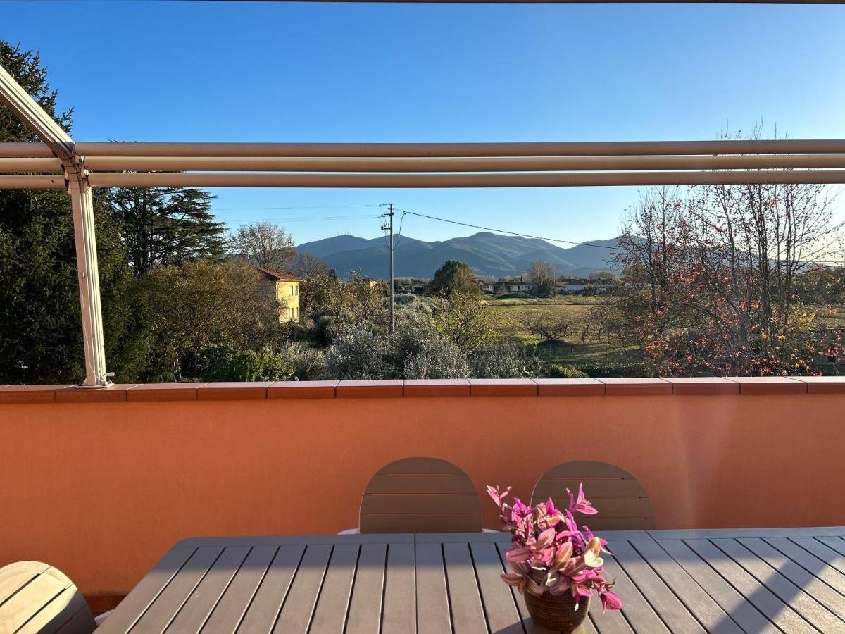 Ferienwohnung Albi'S House,Terrazza ,Wi-Fi, Parcheggio, Ac Lucca Exterior foto