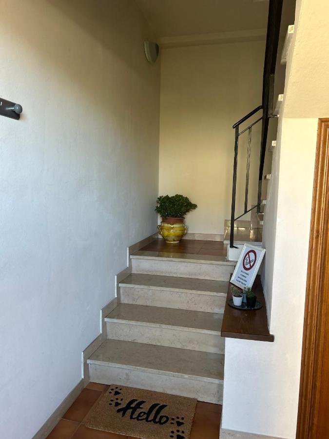 Ferienwohnung Albi'S House,Terrazza ,Wi-Fi, Parcheggio, Ac Lucca Exterior foto